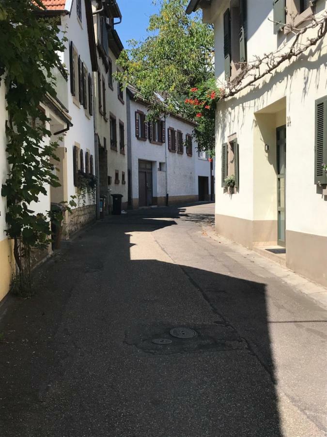 Eulenhof Apartament Neustadt an der Weinstraße